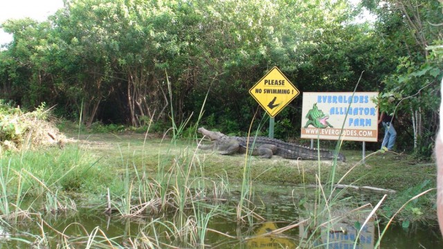 DSC00798.jpg (184.44 КБ) 9372 просмотра DSC00798.jpg