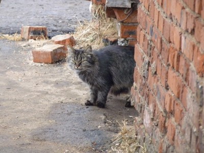 zP1000565.jpg