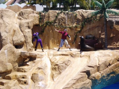 SeaWorld3.JPG