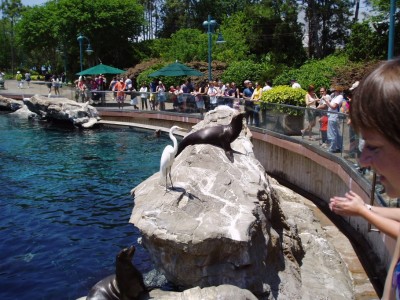 SeaWorld5.JPG
