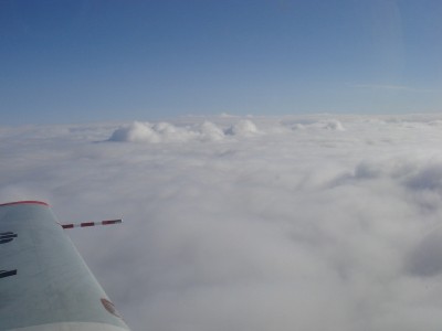 sized_DSC08820.JPG