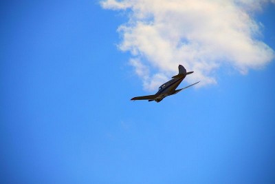 sized_IMG_3513.JPG