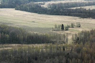 IMG_5945.JPG