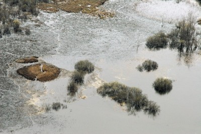 IMG_6021.JPG
