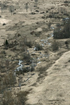 IMG_6256.JPG