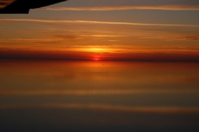DSC_0229.JPG