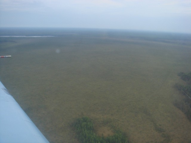 sized_DSC09083.JPG