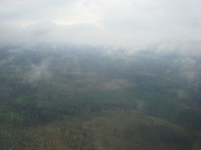 sized_DSC09136.JPG