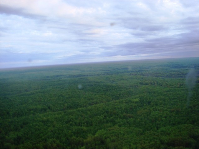 DSC09177.JPG