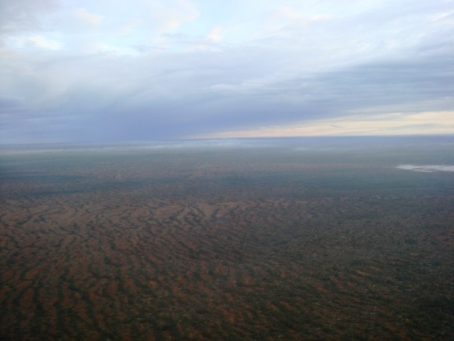 DSC09181.JPG