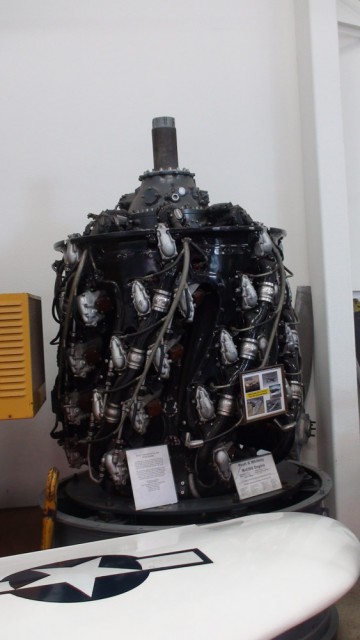 DSC00618.jpg