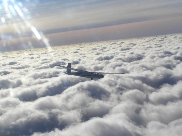 fly.jpg