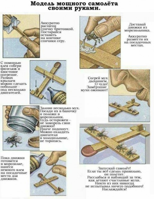 airplane.jpg