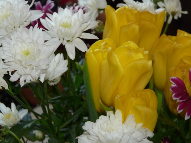 P1050835.JPG