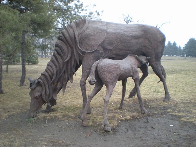 sized_DSCN3023.JPG