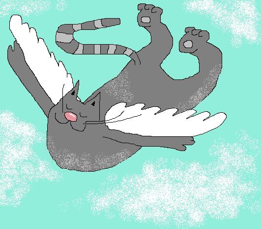 cat-pilot.jpg