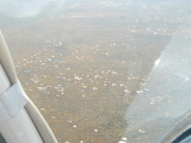 P1060431.JPG