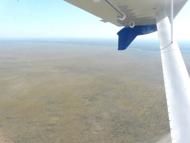 P1060442.JPG