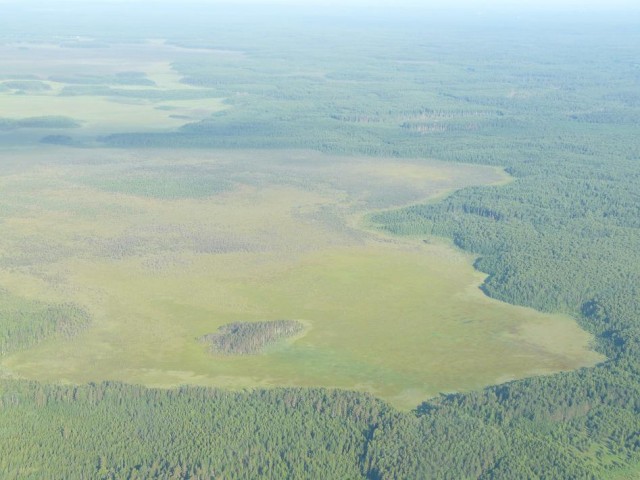 Мои любимые болота