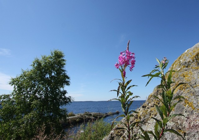 saIMG_7746.JPG