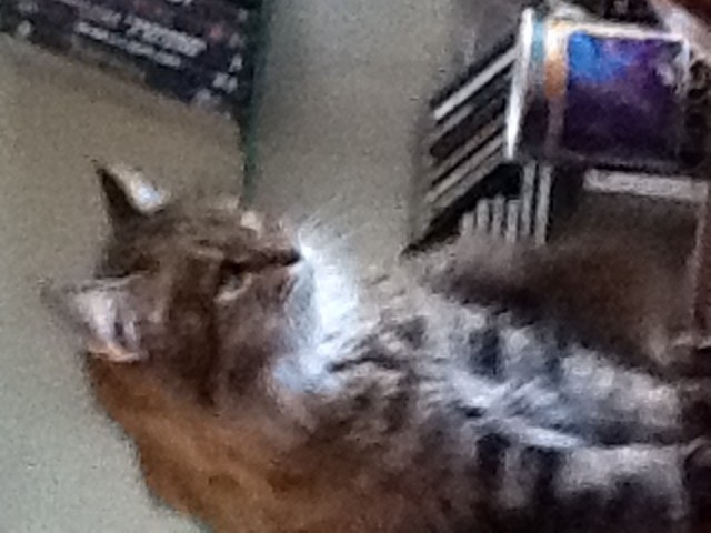 332183707.447658.jpg (127.27 КБ) 8858 просмотров Вставлено с iPad