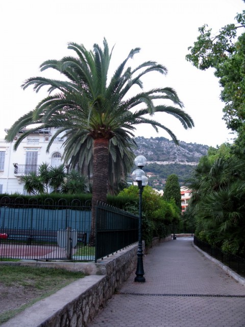 IMG_8793.JPG