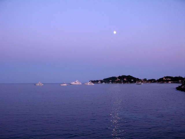 IMG_8809.JPG
