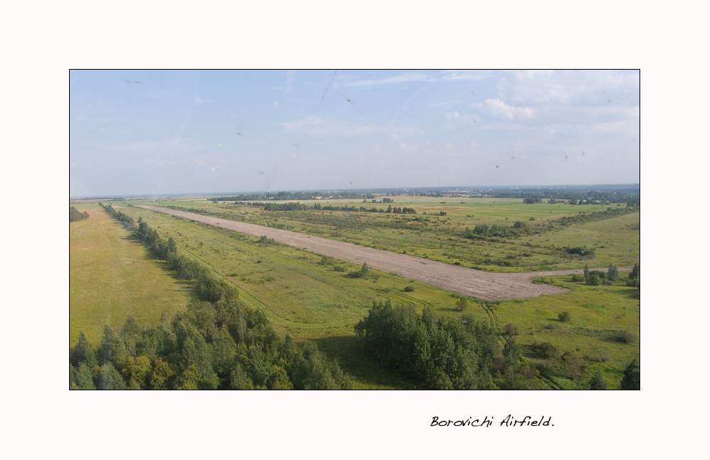 borovici2.jpg