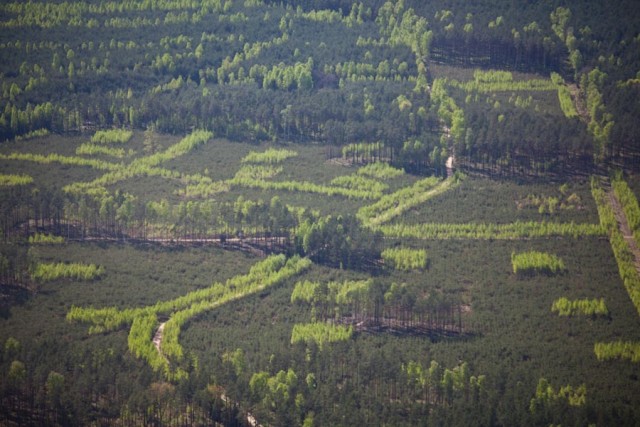 1-8494.jpg