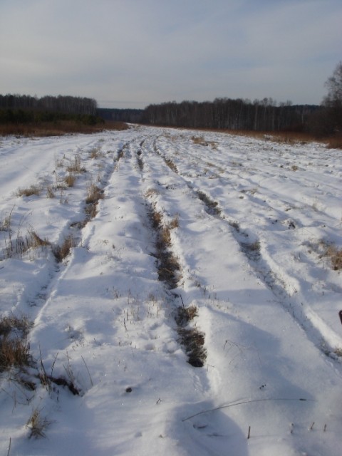55.JPG