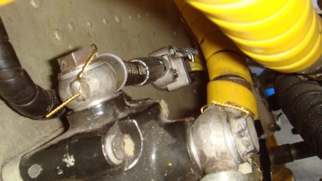 DSC08218.JPG