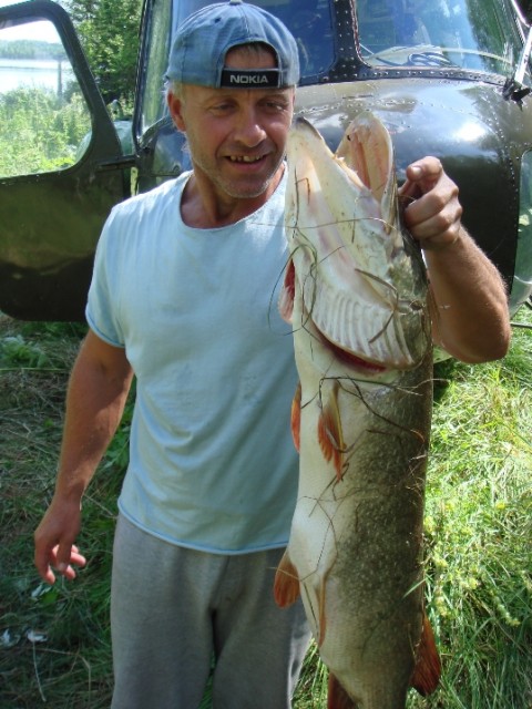 чартолы.JPG