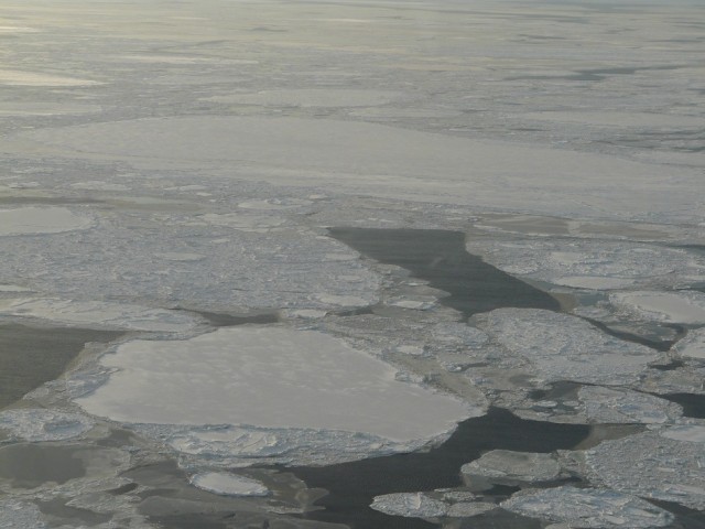 P1090059.JPG