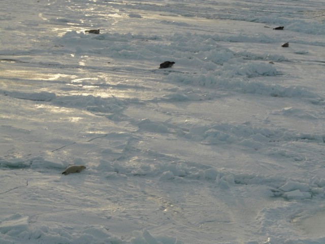P1090071.JPG
