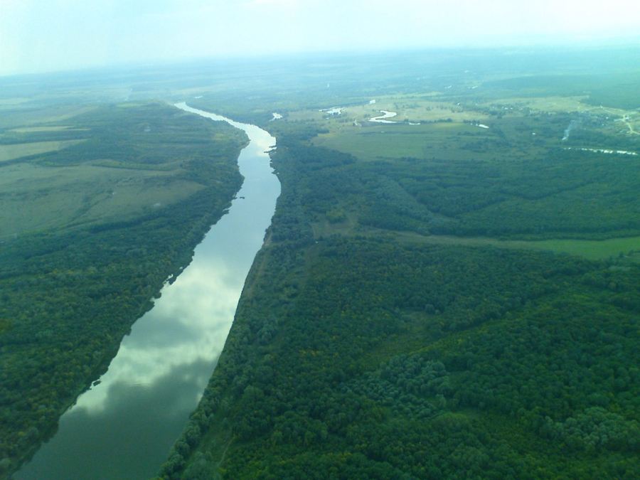 DSC00148 сж.jpg