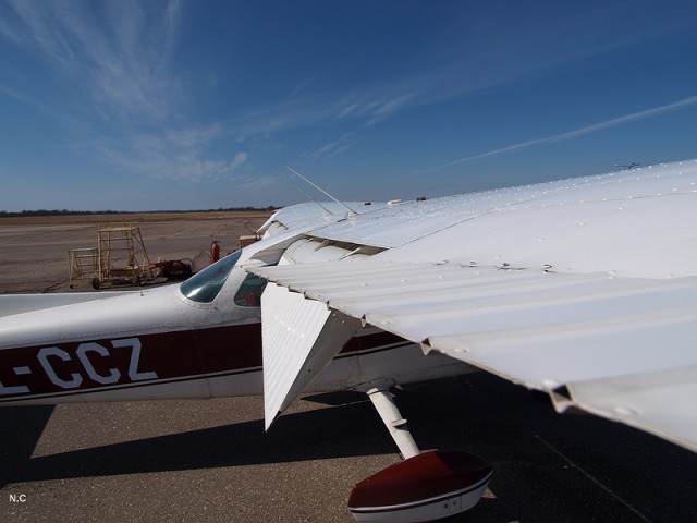 sized_P4151744.JPG