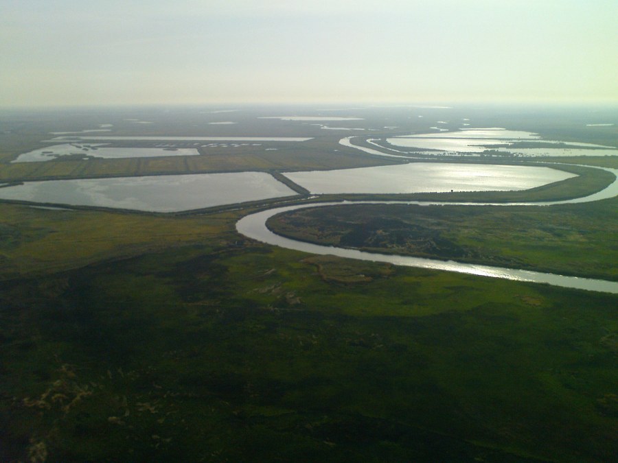 DSC00322сж.jpg