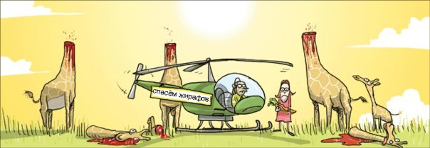 cTBTJEfGoYI.jpg