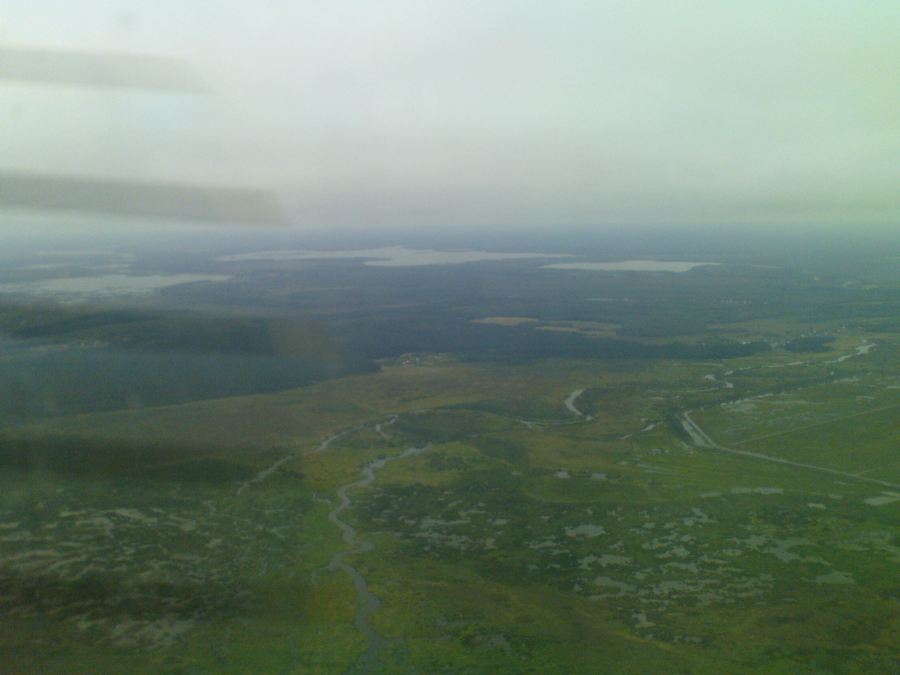 DSC00387cж.jpg
