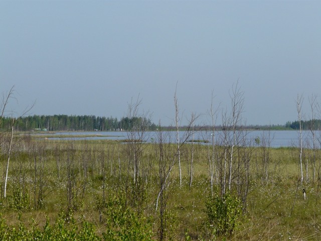 P1090379.JPG