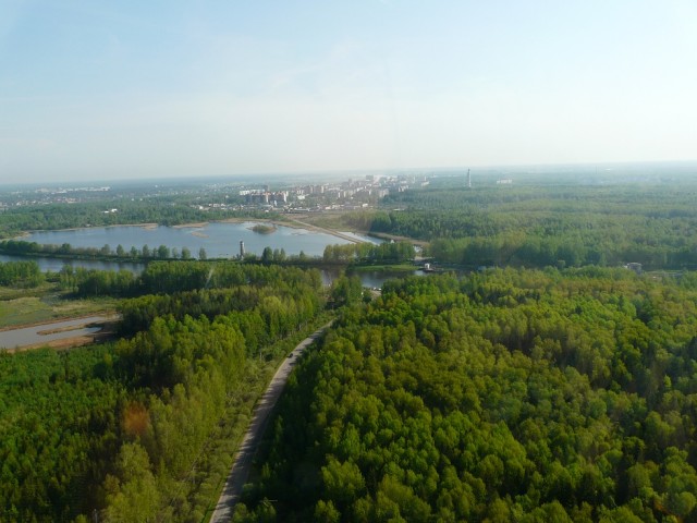 P1090393.JPG