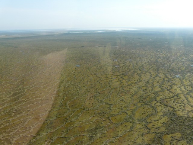 P1090385.JPG