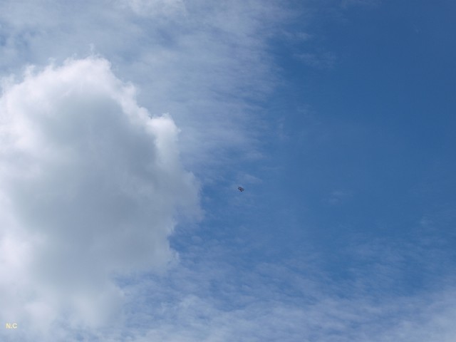 full_P5192760.JPG