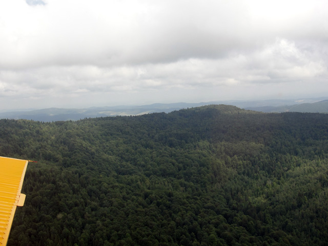 DSC01761.jpg