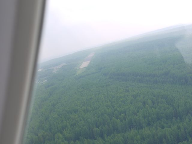 P1050361.jpg
