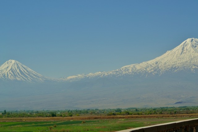 DSC_6593.JPG