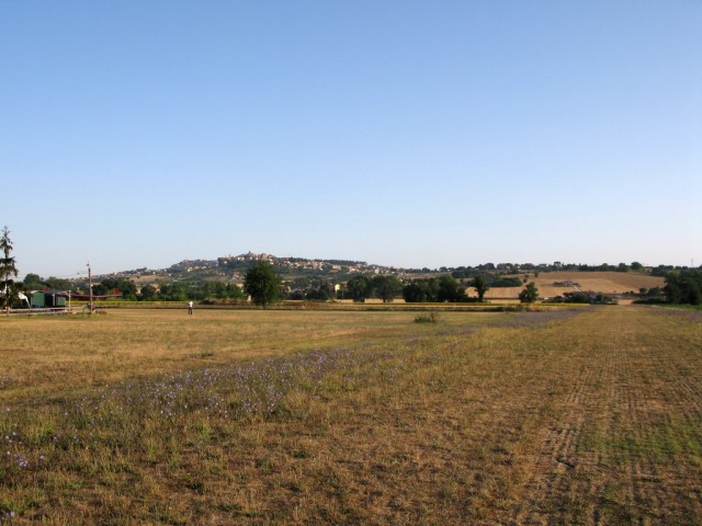 IMG_9718.JPG