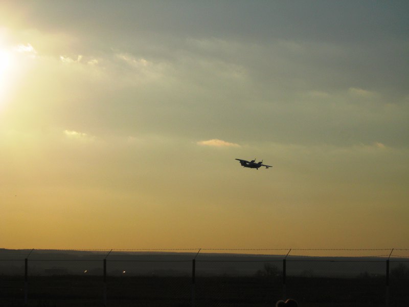 IMG_3590_800x600.JPG