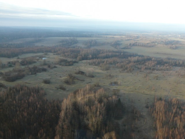 P1100055.JPG