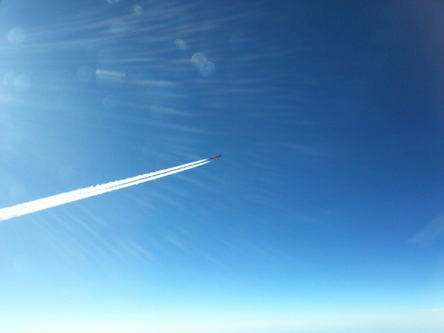 sized_20121223_114419.JPG